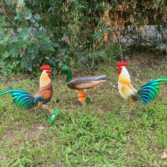 Garden Decoration